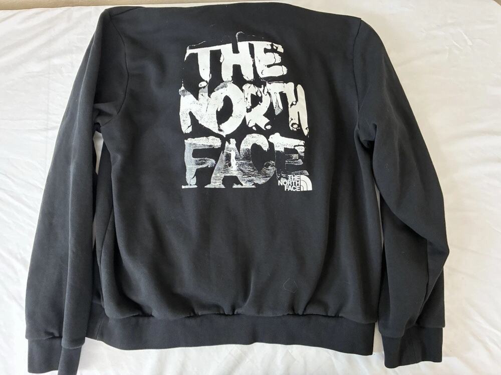 The North Face Men's Large Evolution Half Dome Pullover Hoodie Black
